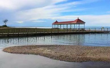 青海湖鳥(niǎo)島景區(qū)和沙島景區(qū)對(duì)外停止開(kāi)放