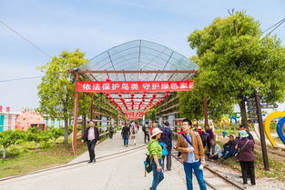 春游諸暨,青山綠水生態(tài)之旅