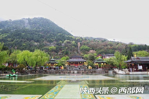 中華文明凝心鑄魂之旅丨不止 長恨歌 華清宮旅游管理體系正走出陜西走向全國