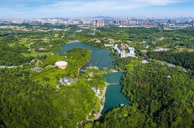 草地露營、國潮音樂節(jié)、少兒音樂匯 南京珍珠泉度假區(qū)假期精彩紛呈，盡顯卓越園區(qū)管理服務(wù)